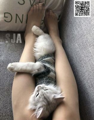 藏海花电视剧免费_HDHD高清在线观看